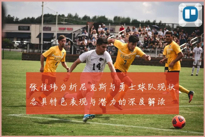 张佳玮分析尼克斯与勇士球队现状各具特色表现与潜力的深度解读