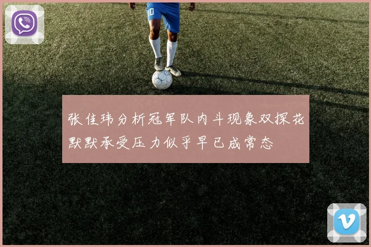 张佳玮分析冠军队内斗现象双探花默默承受压力似乎早已成常态